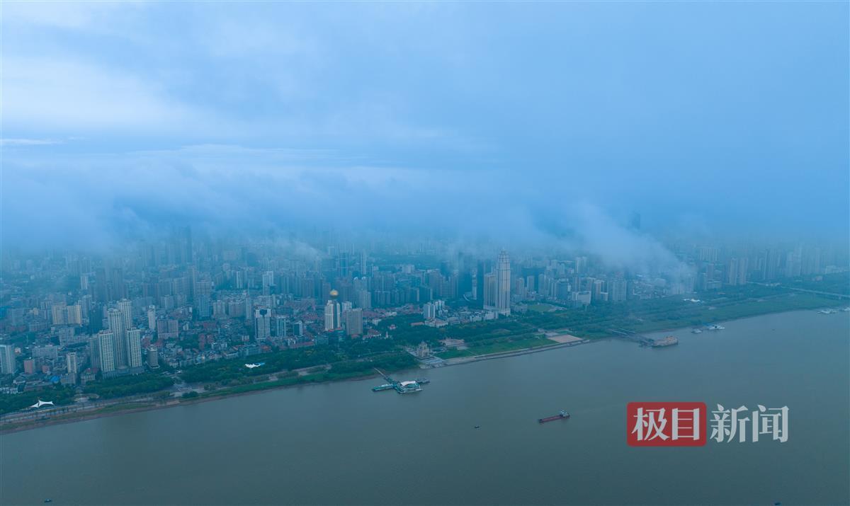 通博官方网
